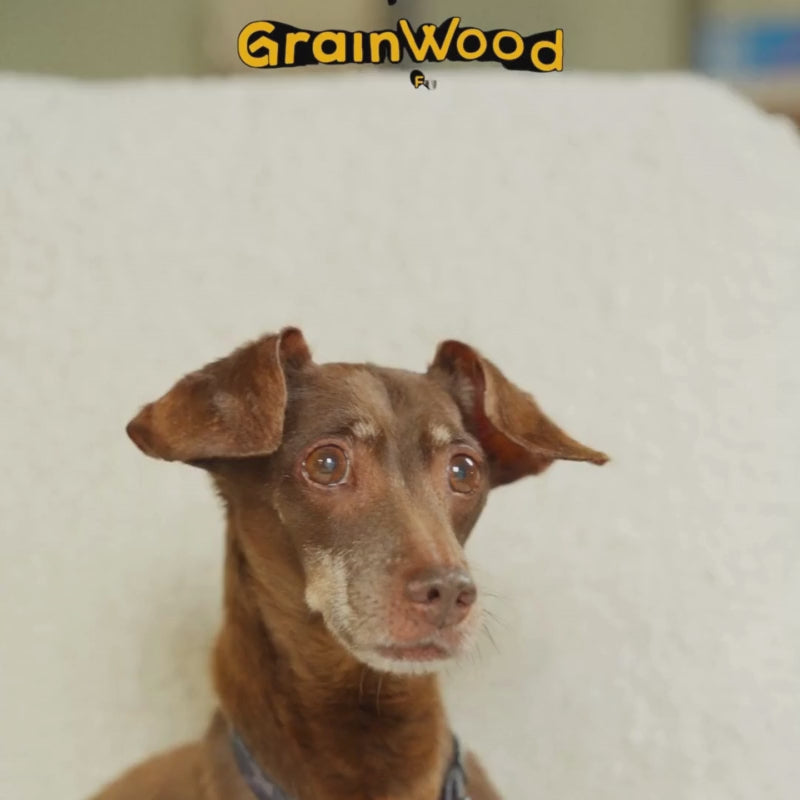 Mid Century Lounge Chair + Ottoman